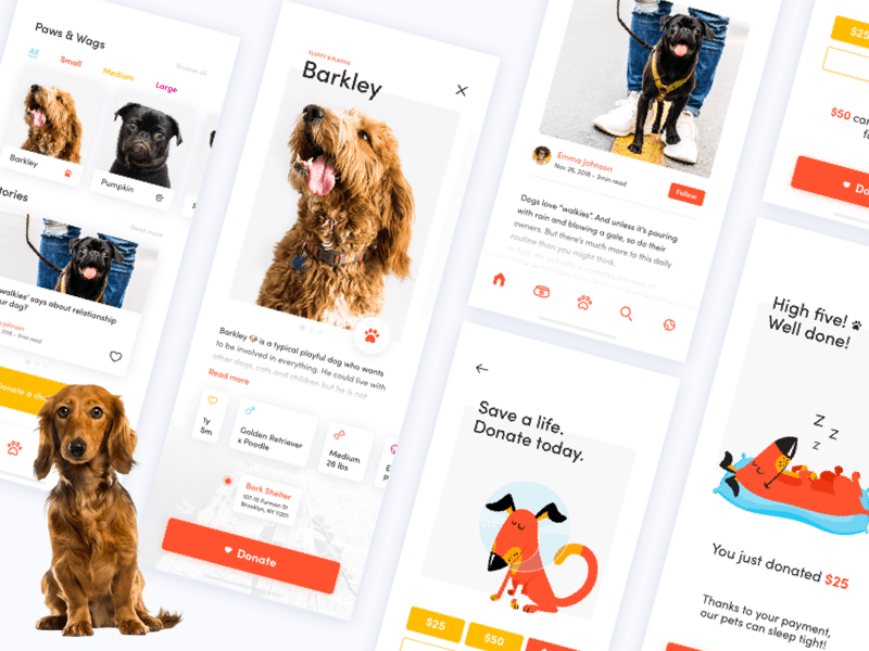 宠物狗捐赠平台App应用程序概念插图