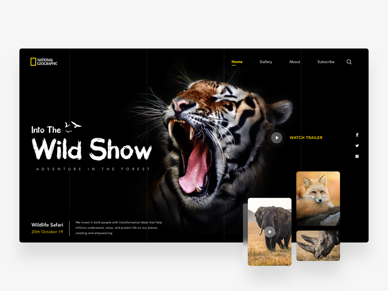 国家地理野生动物网站模板插图